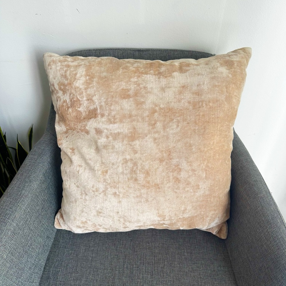 Velvet Throw Pillow (MIX & MATCH)